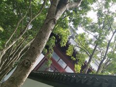 -秋霞圃