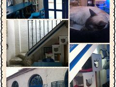 IMG_2182-Sirena海妖日咖夜酒