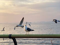 -东港音乐喷泉广场