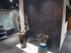 -黑松白鹿(金融街店)