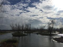-呈贡滇池生态湿地公园