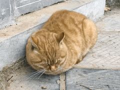 -终南山南五台景区