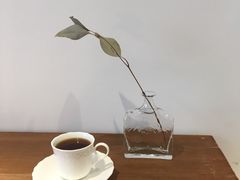 -the fall kaffe乐否咖啡