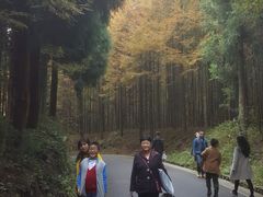 -山王坪喀斯特国家生态公园