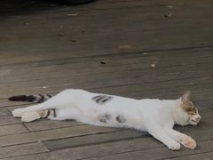 -梵几(东信·和创园店)