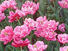 -玄武湖景区-情侣园游乐场