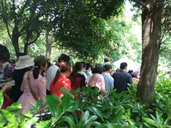 -韶山毛泽东同志故居