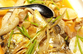 Home-style Burned Yellow Croaker from Zhonglu Island