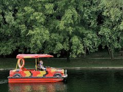 -上海共青森林公园