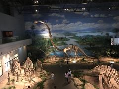 -自贡恐龙博物馆