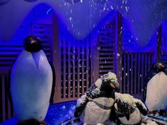 -北方暖暖温泉洗浴(沈阳北站店)