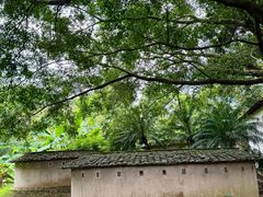 -东南花都花博园