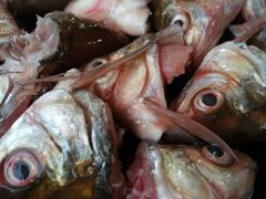 -章记正宗南岗鱼蛋火锅