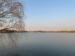 -西海子公园