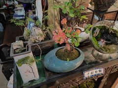 -双季花艺园艺市场(浦东店)