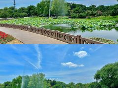 -橘子洲景区