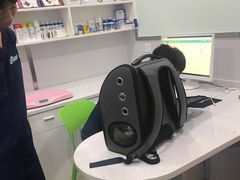 -佳雯宠物医院(金华南路分院)