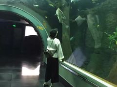 -成都浩海立方海洋公园