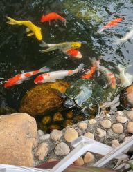 -维倪月子会所(独栋庭院·南海店)