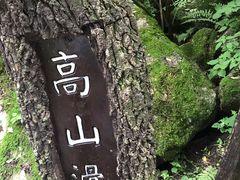 -青峰峡国家森林公园