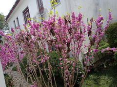 -苏州图书馆(人民路总馆)
