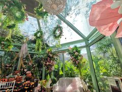 -正佳雨林生态植物园