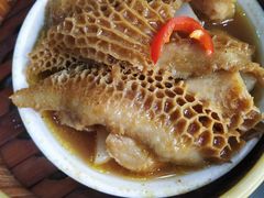 金钱肚-华南师范大学石牌校区陶园