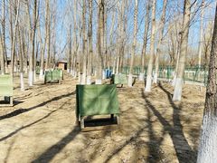 -亲兄弟真人CS团建拓展基地