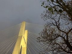 -紫· 割烹  Kappo Murasaki