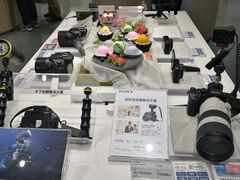 -Sony Store 索尼(上海淮海中路店)