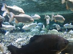 -成都浩海立方海洋公园