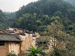 -杨家堂村
