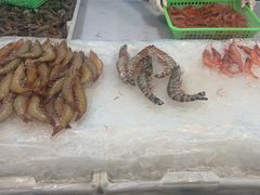 -东河市场