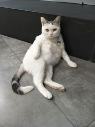 -M Hair造型