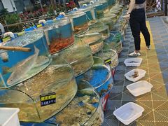 -沿海渔家院海鲜烧烤·东北菜(东戴河店)