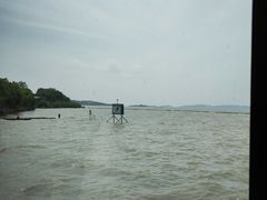 -古尚锦酒楼·水上餐厅