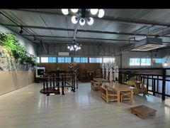 -豆逗聊愈猫阁Easy Life