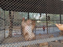 -长白岛森林公园