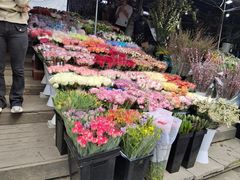 -三圣花乡旅游区