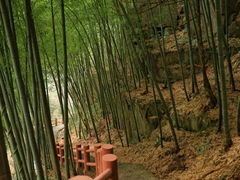 -藏龙百瀑风景区