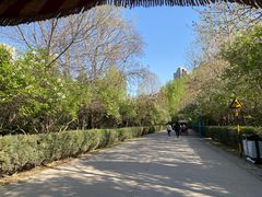 -森林公园(尖草坪区)