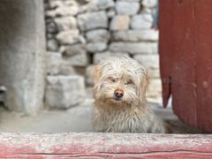 -于家石头村景区