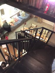 -素颜秀半永久纹眉纹眼线