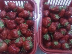 -旺中旺生活超市(居住主题店)