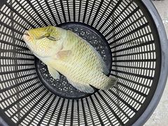 -双天海鲜楼 · 43年老字号