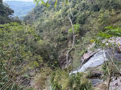 -海南热带雨林国家公园吊罗山景区