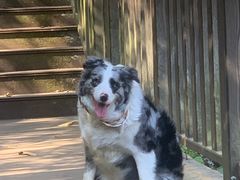 -孔雀湖生态旅游区