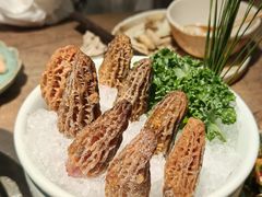 -蘑界·野生菌火锅(深业上城店)