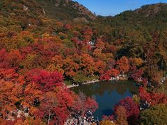 -苏州香格里拉大酒店