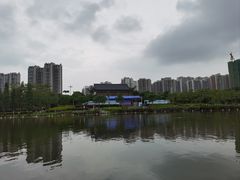 -飞来湖湿地公园